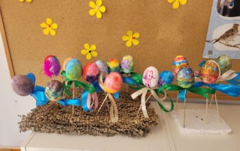 WhatsApp Image 2026-04-07 at 10.01.46 (11)